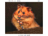 hamsterstitch
