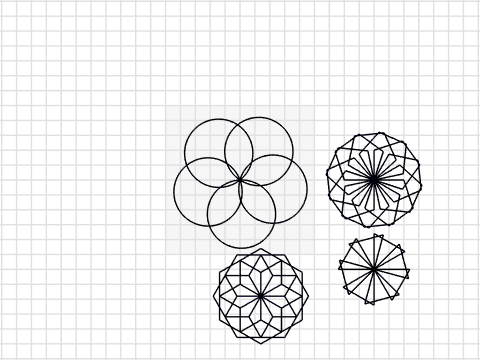 Taylor Flower Project