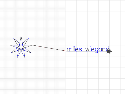 Miles Wiegand Star Turtlestitch Drawing 