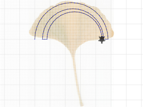 Ginko Leaf Practice.eva