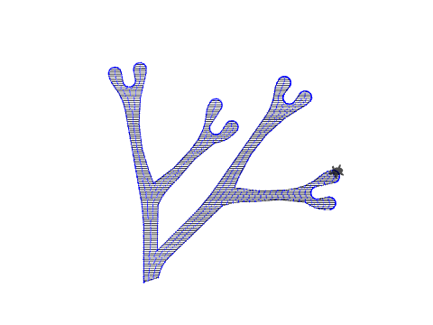 Candy Cane to seaweed