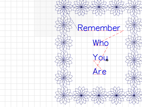 Erol Flowers and frames