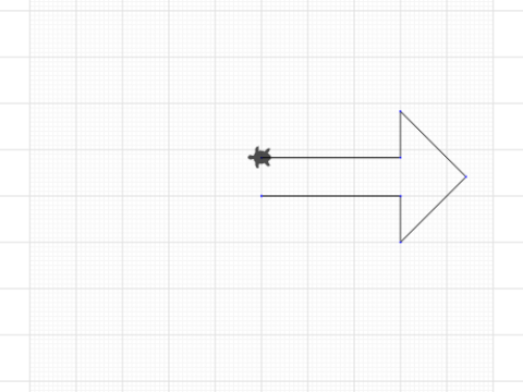 turtle sketch 2