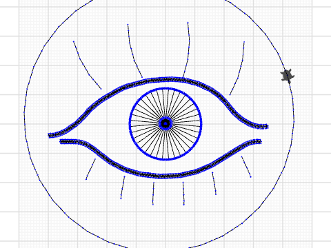 Eye