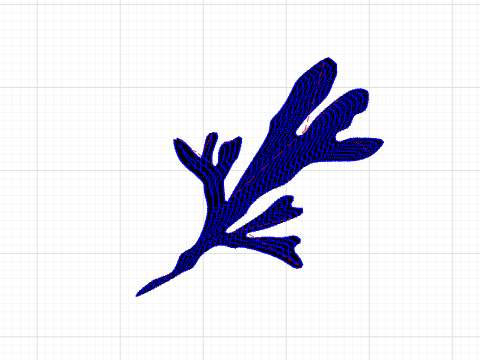 Seaweed -Thank You Simon!