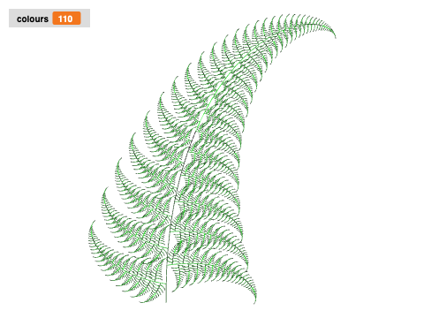 Fern