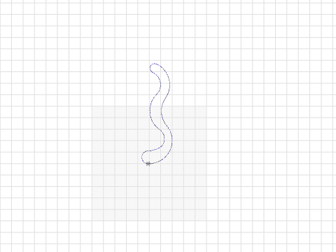 WORM