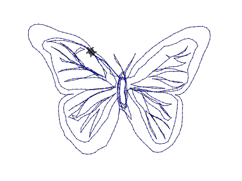 Schmetterling
